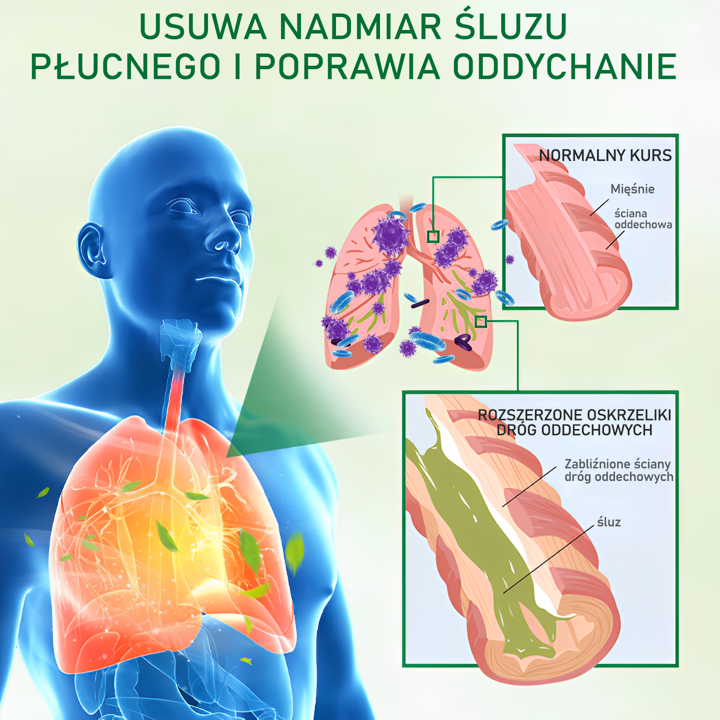 Gooyeer™ Zaawansowany spray do oczyszczania płuc – zdrowe płuca, wsparcie odporności, detoksykacja i łatwiejsze oddychanie – Certyfikat CE
